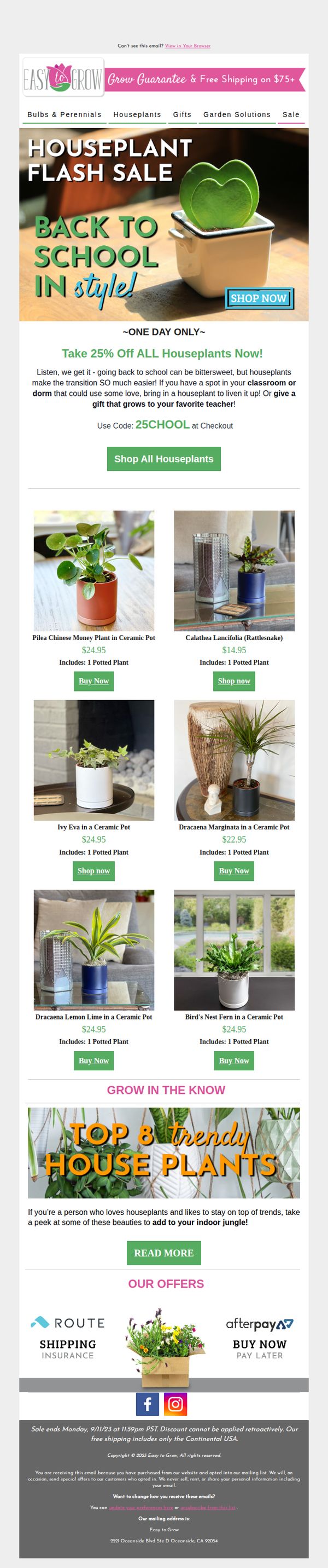 Easy To Grow Bulbs