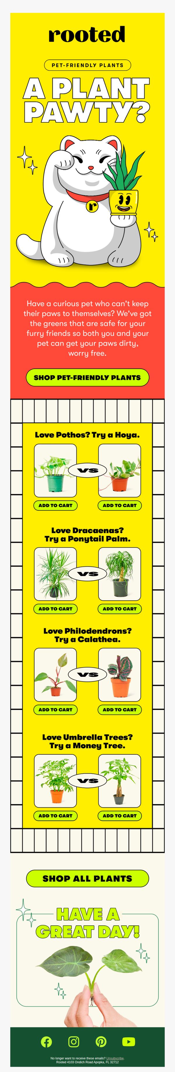 7. Ficus or Fido? You don't have to choose 🐾🌿