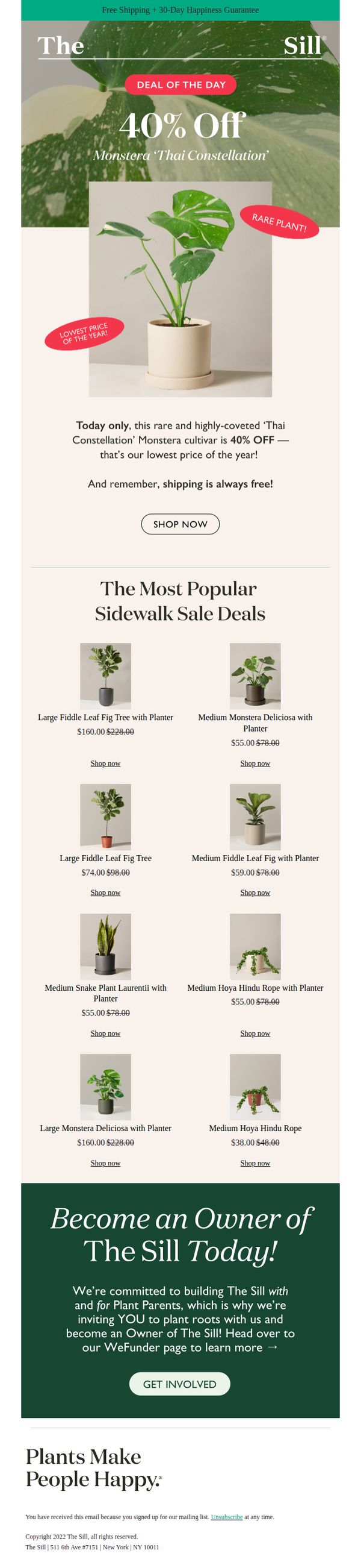 8. The Sill: ⏳40% Off The Highly-Coveted ‘Thai Constellation’ Monstera