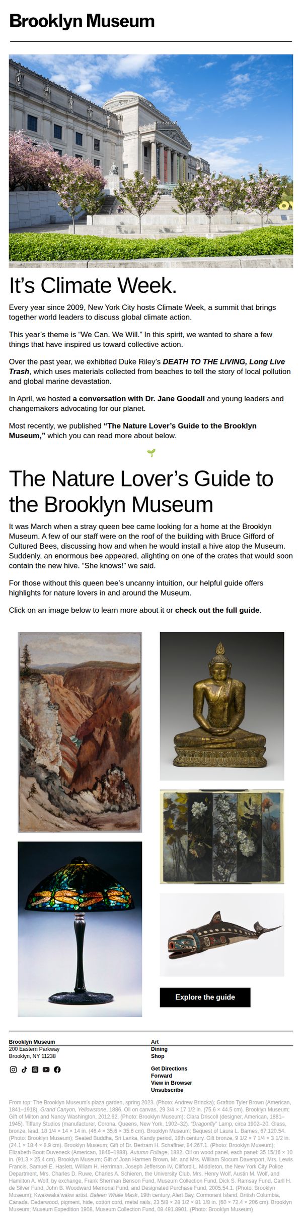 9. The Nature Lover’s Guide to the Brooklyn Museum