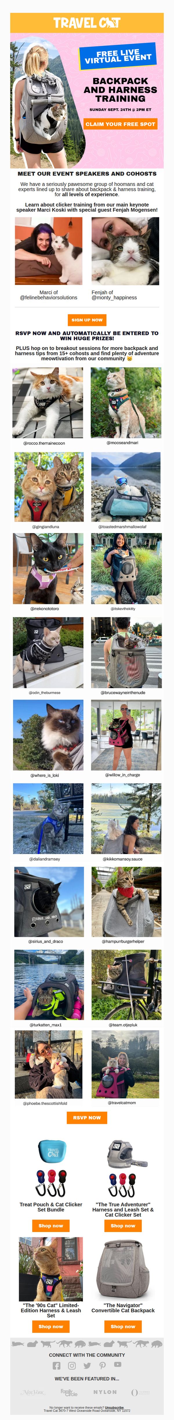 Travel Cat