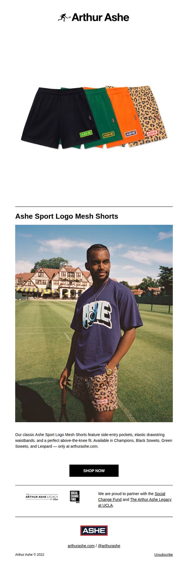 6. Rowing Blazers: Sale Highlight: Ashe Sport Logo Mesh Shorts