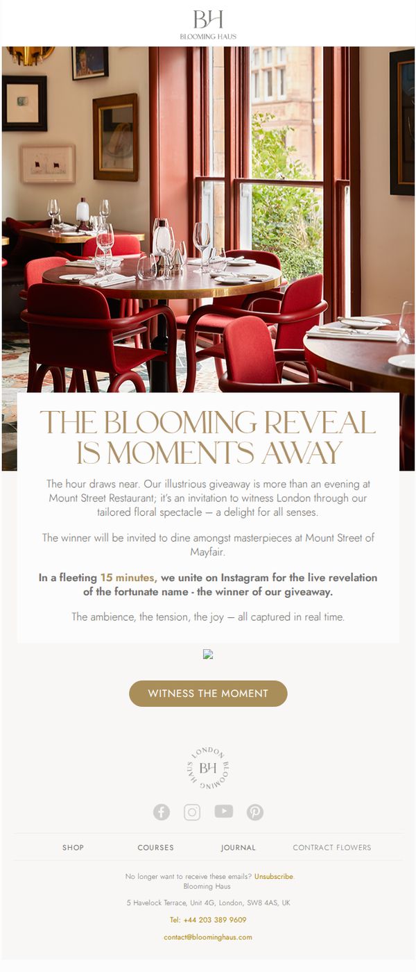 10. Blooming Haus: Moments Away from The Blooming Reveal