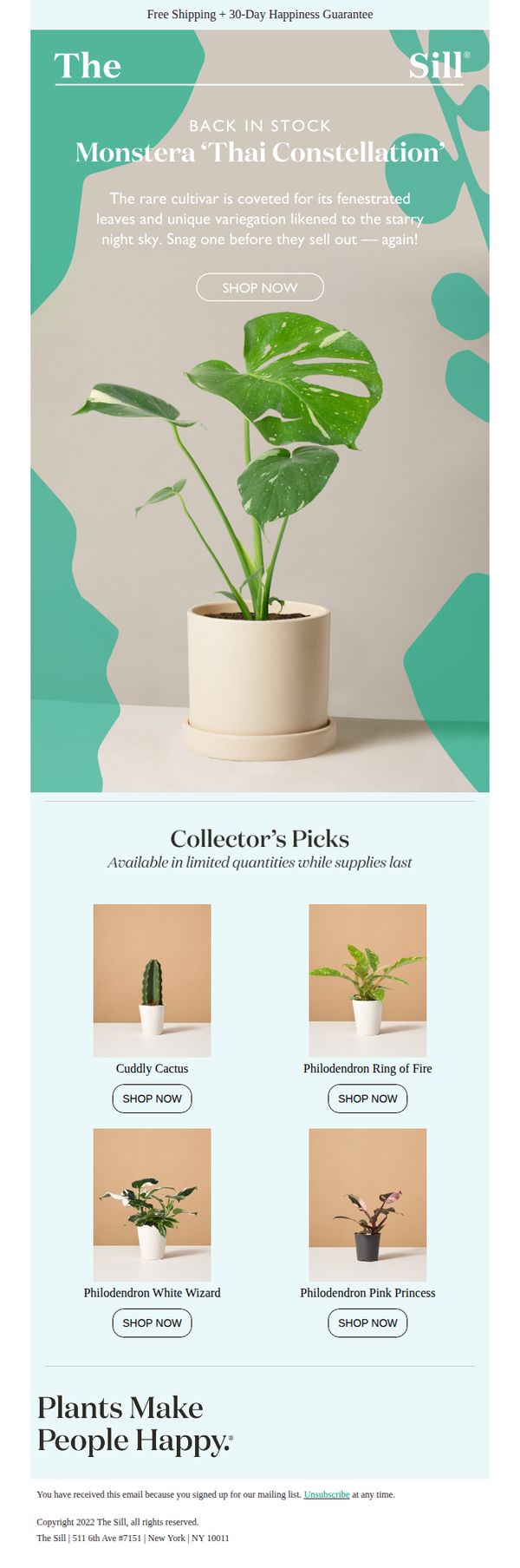 10. The Sill: This Rare Monstera Is Back! ✨
